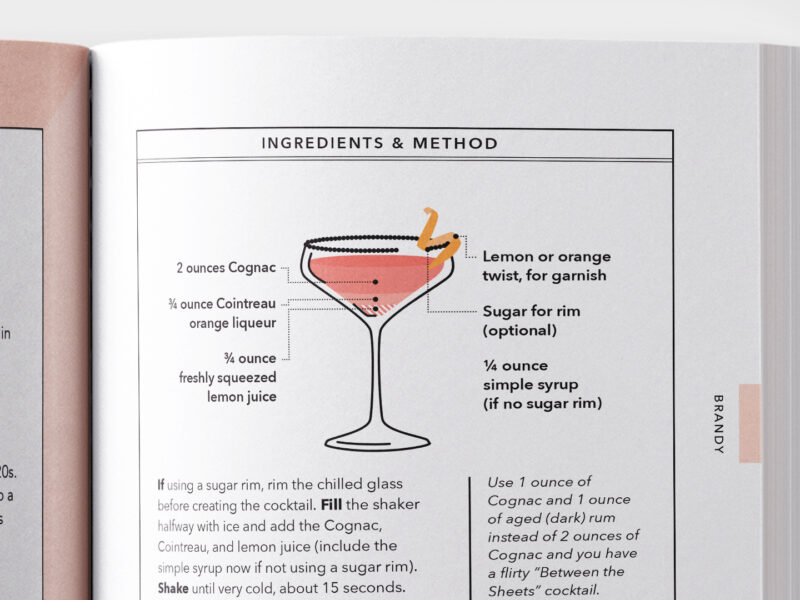 Cocktails Made Simple Book